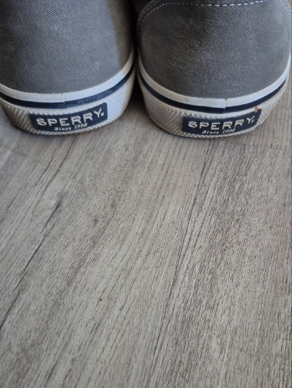 Sperry Men's Gray Canvas Boat Shoes with White Laces - Picture 5 of 11
